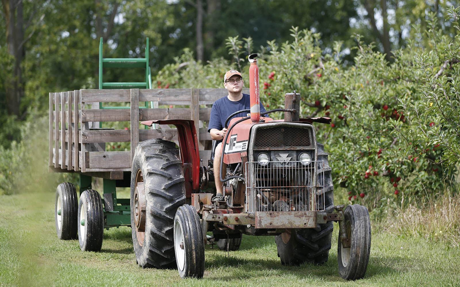 Sanger Farms & Bakery